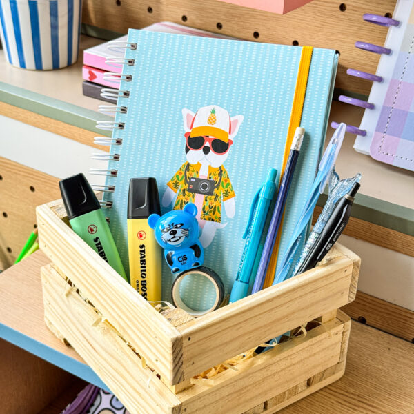 Kit Planejamento - Caixa com 10 itens de papelaria